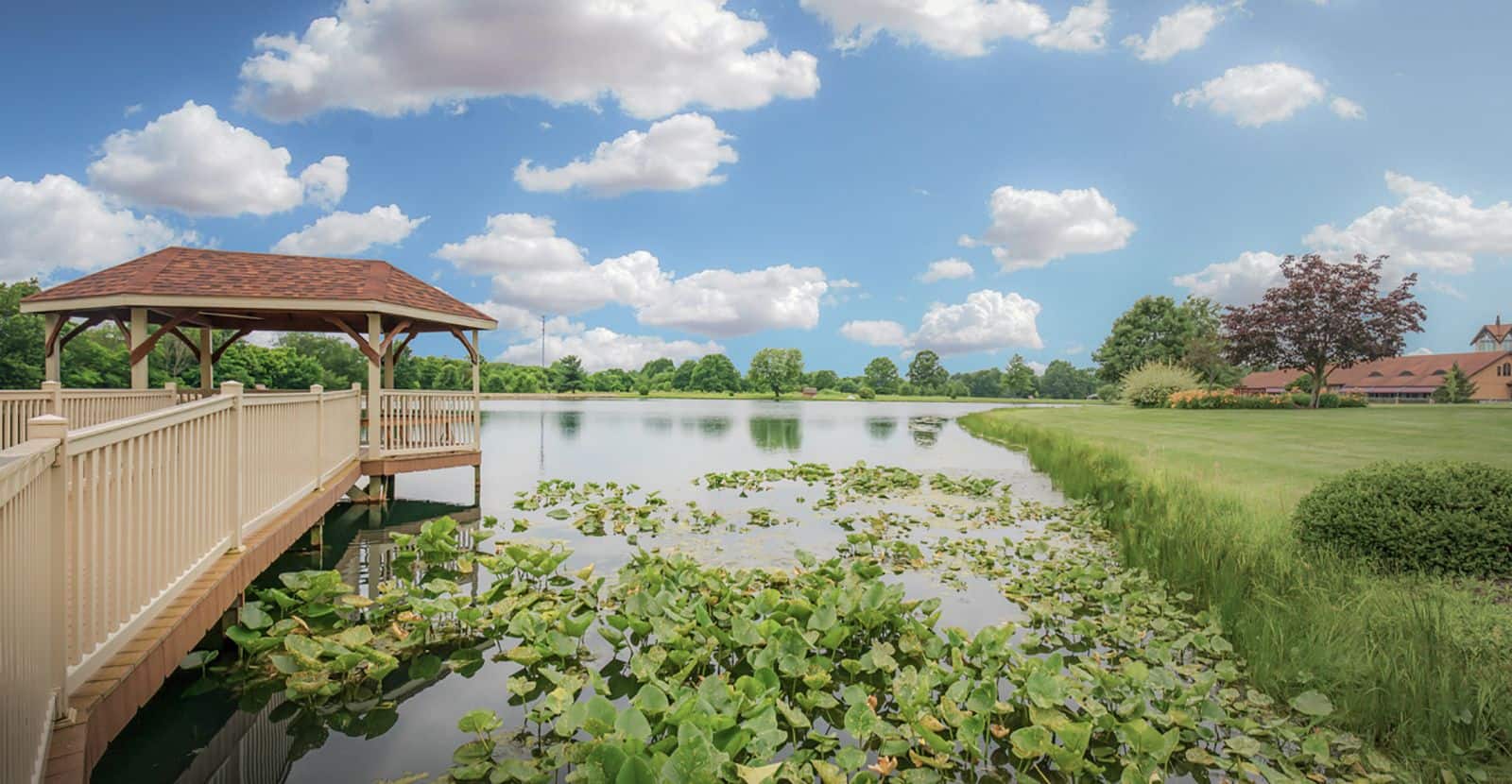 Lakeshore Apartments Senior over 55 Apartments Copeland Oaks