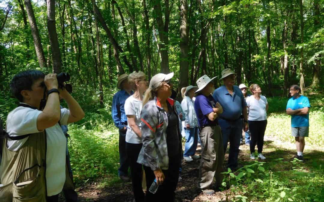 hiking group, activities for seniors