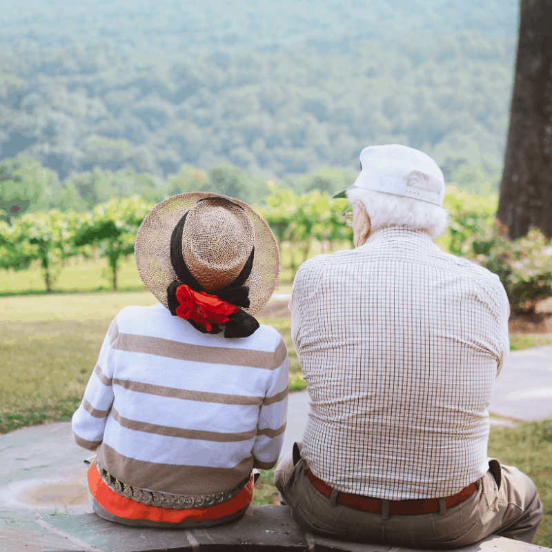 Elderly couple watching scenery