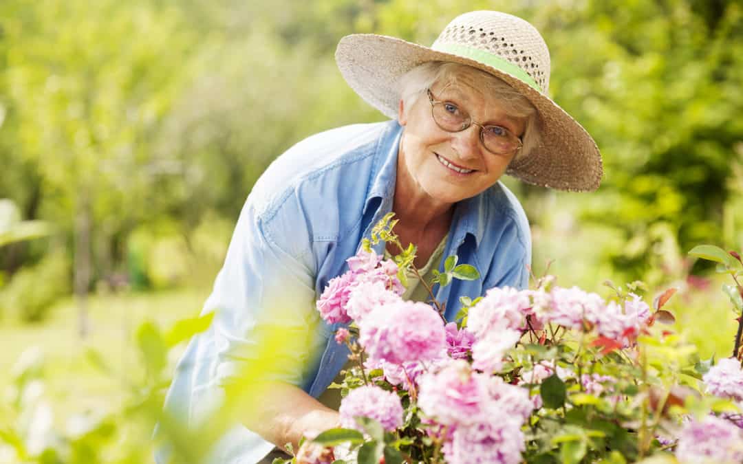 Senior woman with flowers in garden.